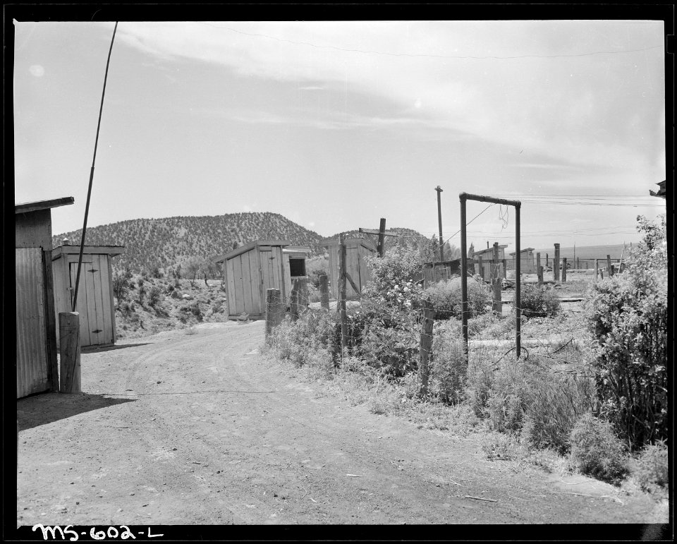 Alley gardens, and privies in rear of homes in company housing project. Independent Coal & Coke Company, Kenilworth... - NARA - 540517
