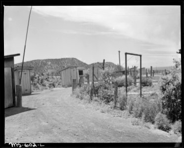 Alley gardens, and privies in rear of homes in company housing project. Independent Coal & Coke Company, Kenilworth... - NARA - 540517