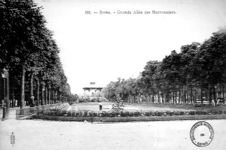 Allée des marronniers BMR 45482 photo