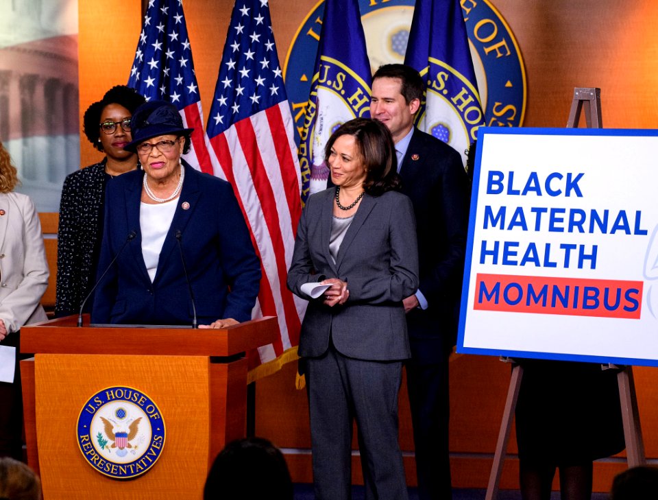 Alma Adams speaking about the Black Maternal Health Momnibus