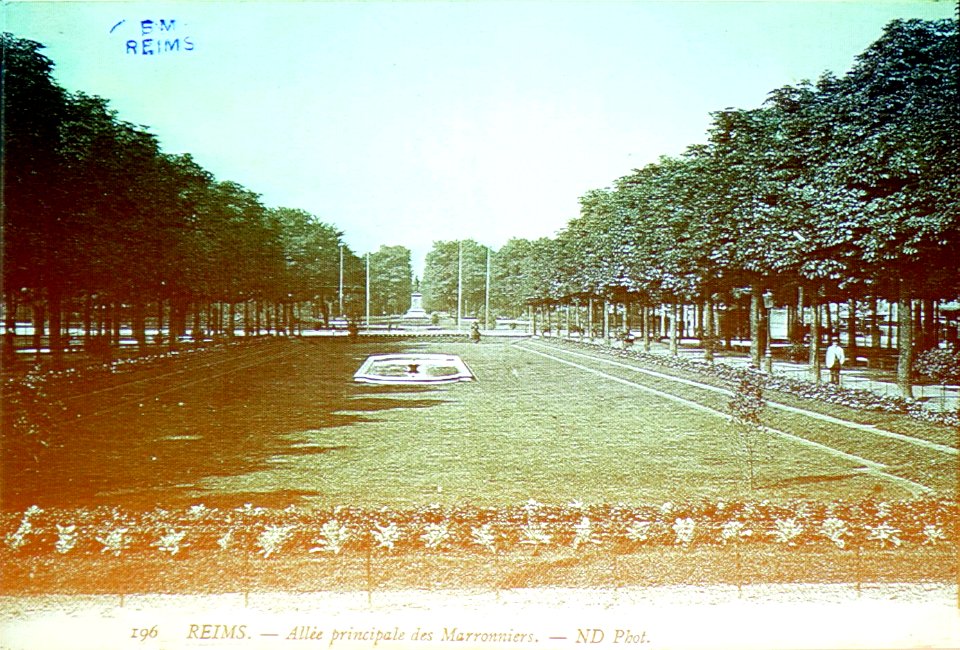 Allée des marronniers BMR 45486