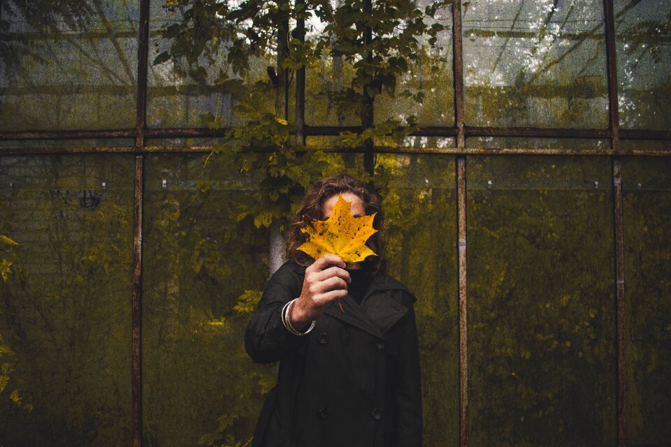 Jacket leaf fall