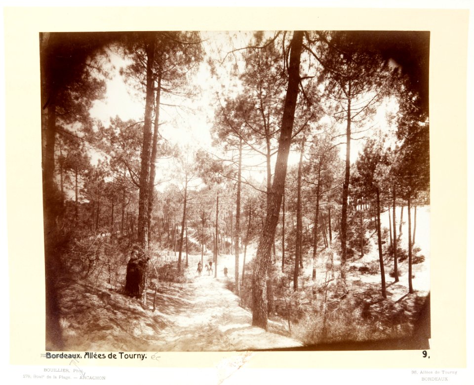 Allée de Tournée, Arcachon - Hallwylska museet - 107468