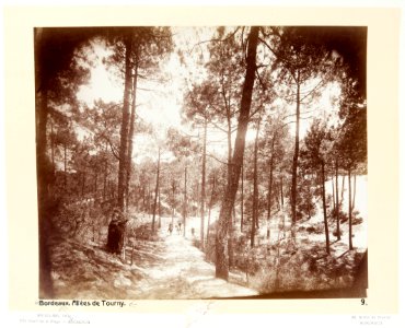 Allée de Tournée, Arcachon - Hallwylska museet - 107468