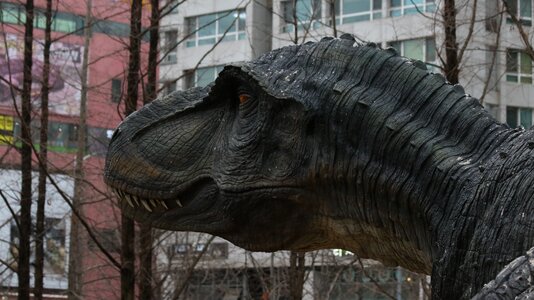 Large outdoors animal