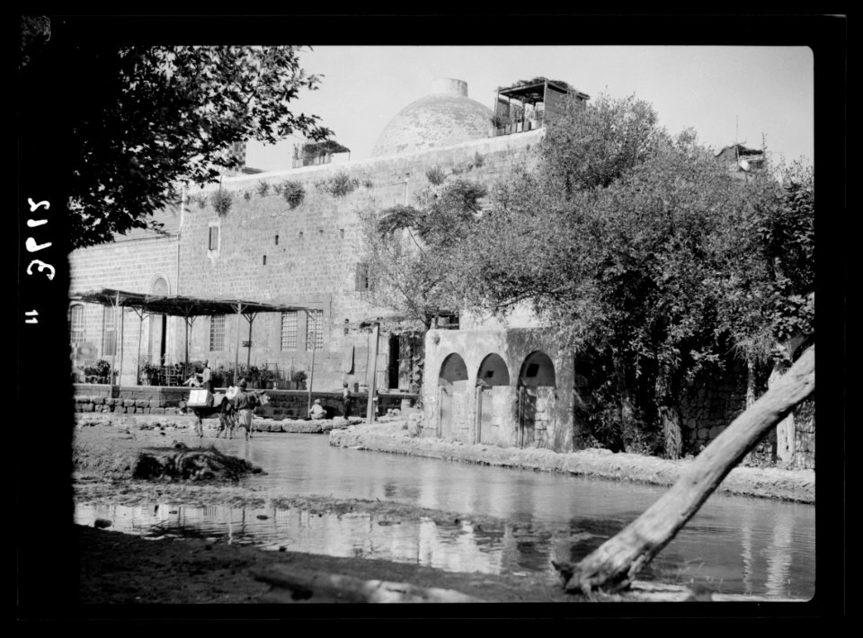 Along the coast to Tripoli. Tripoli. El-Bedoui. Moslem (i.e., Muslim) monastery of dancing dervishes LOC matpc.15434