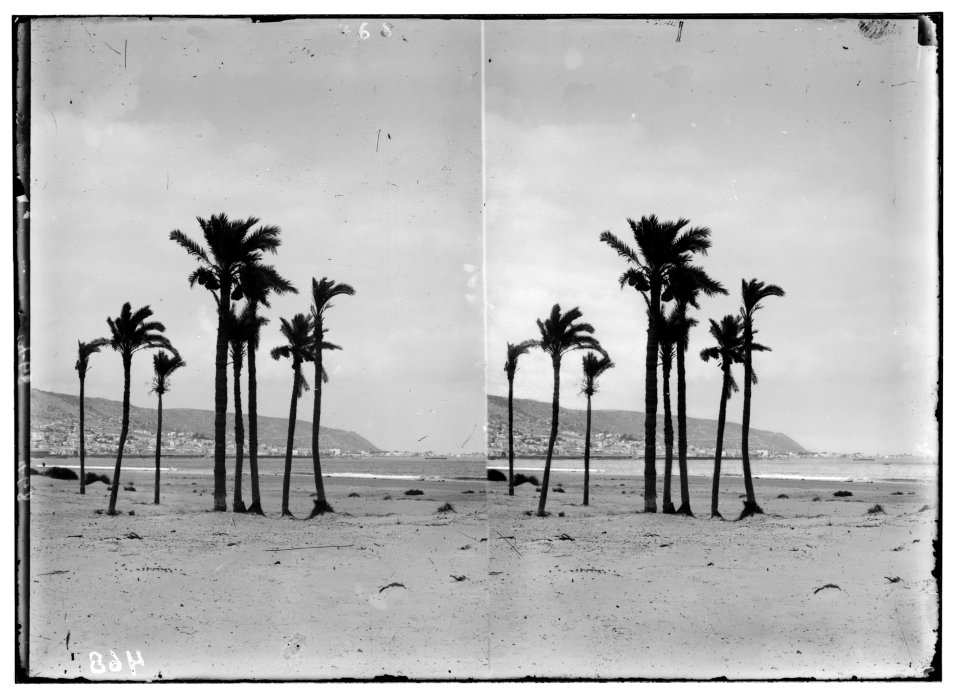 Along the sea coast. Haifa and Mt. Carmel LOC matpc.01198