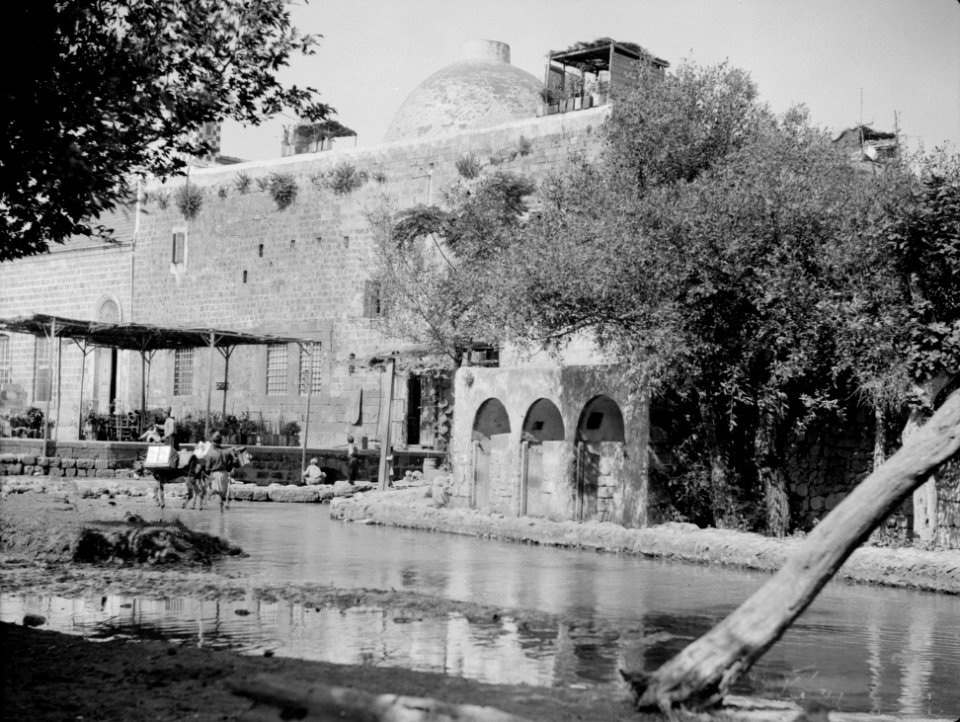 Along the coast to Tripoli. Tripoli. El-Bedoui. Moslem (i.e., Muslim) monastery of dancing dervishes LOC matpc.15434