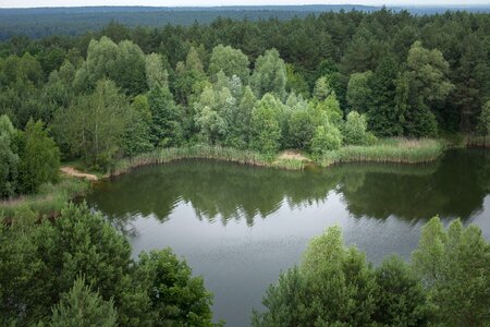 View poland nature photo