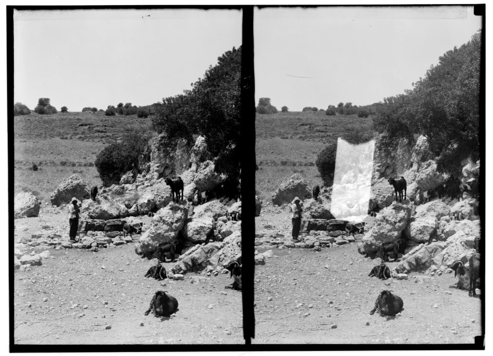 Along the sea coast. Place of sacrifice on Mt. Carmel LOC matpc.01203