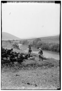 Along the sea coast. River Kishon and Mt. Carmel from Esdraelon LOC matpc.00058