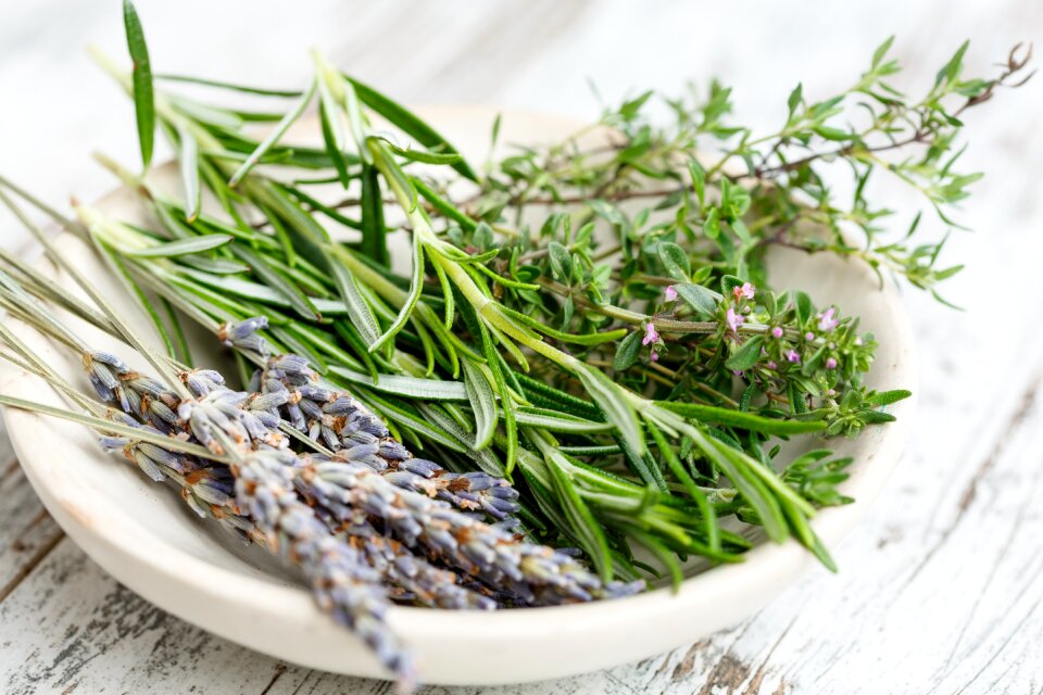 Gourmet cuisine rosemary