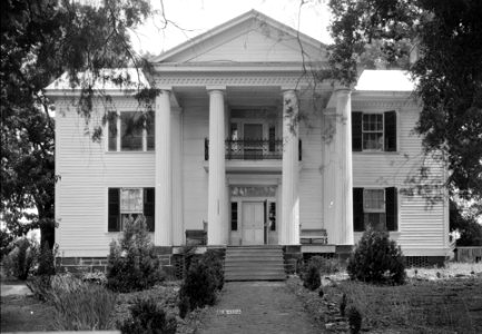 Alpine Plantation 01