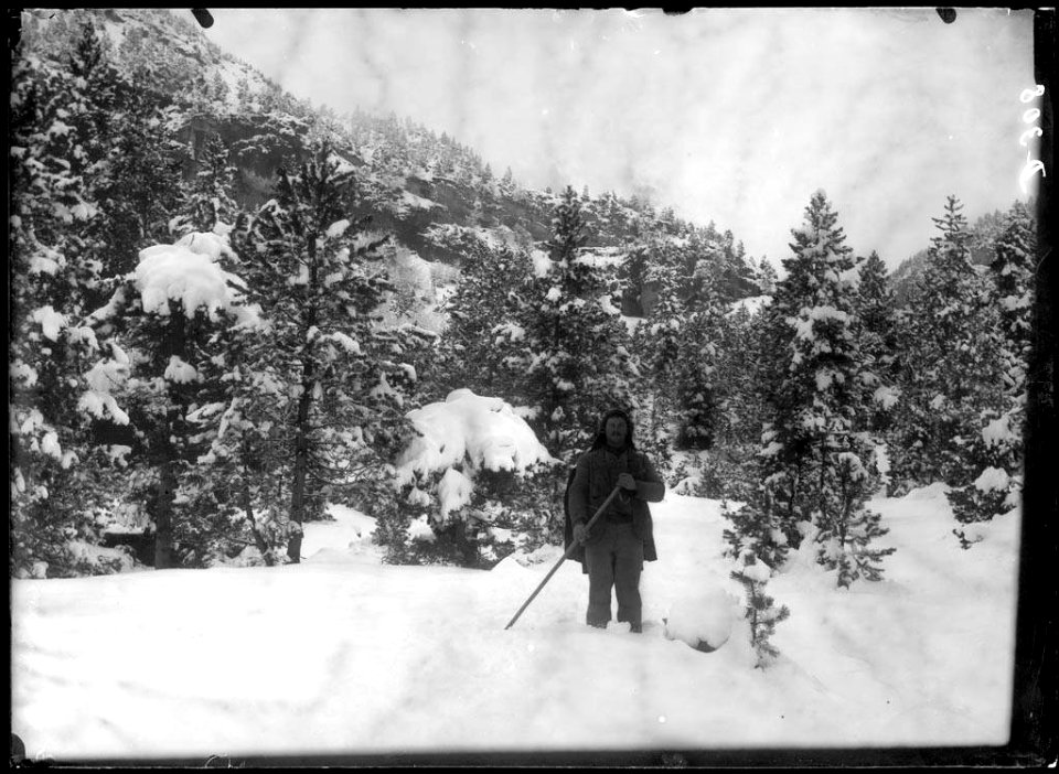 Alpinista en un bosc nevat al canal de Lapazosa