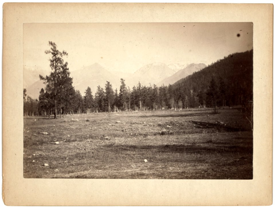 Altai Mountains near Altai Station LCCN99615446
