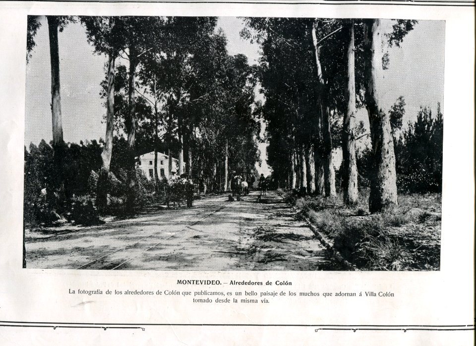 Alrededores de Colón - Montevideo