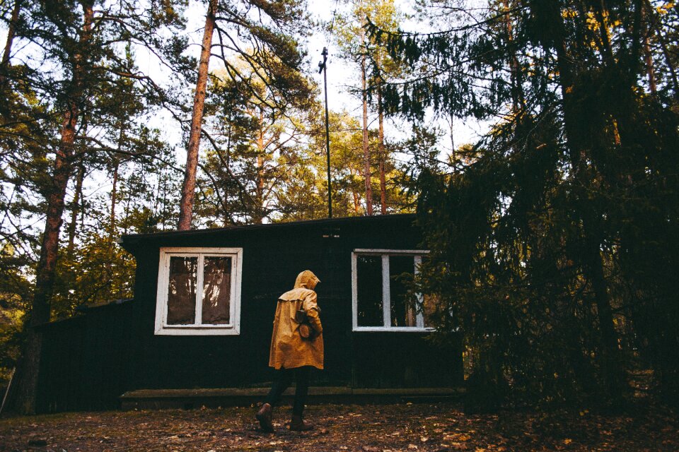 Walking house green