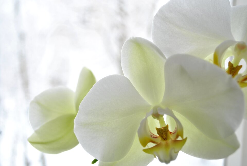 Tenderness freshness morning