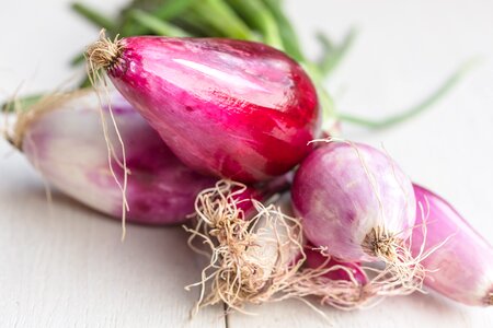 Fresh food ingredient photo