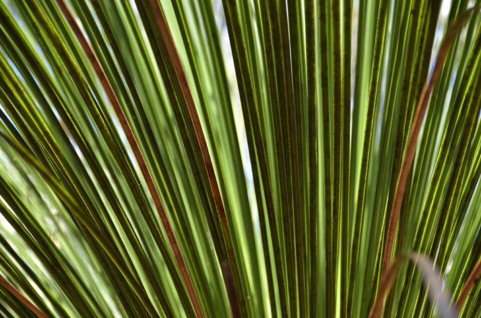 Natural cultivation background