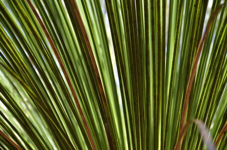 Natural cultivation background