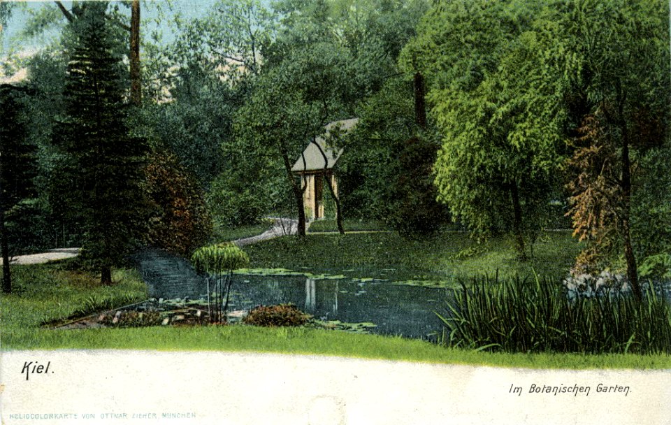 Alter Botanischer Garten am Schwanenweg (Kiel 70.698)