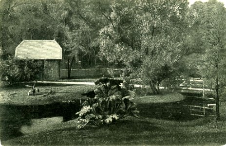 Alter Botanischer Garten am Schwanenweg (Kiel 70.699)