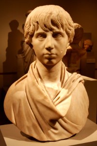 Altes Museum - Büste des Polydeukion