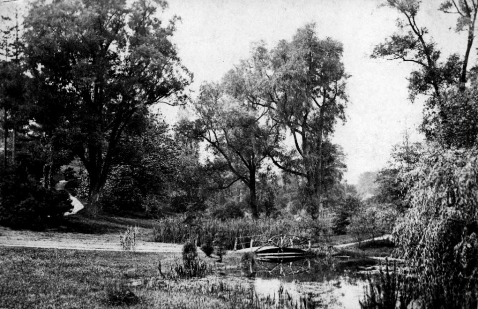 Alter Botanischer Garten am Schwanenweg (Kiel 49.401)