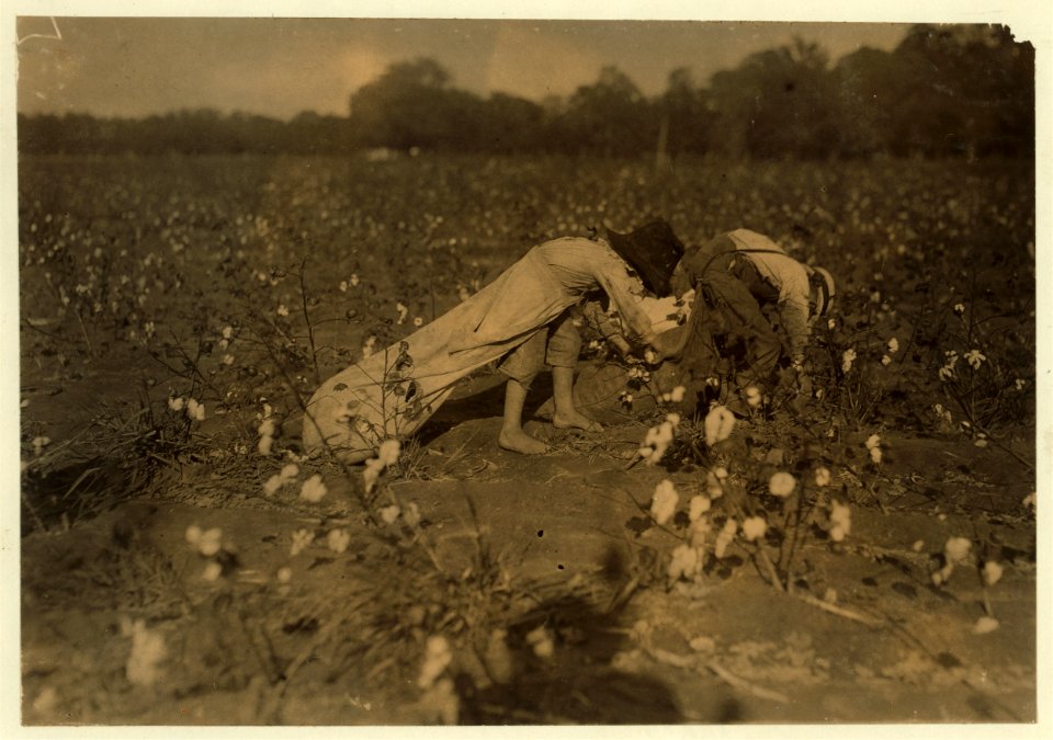 Alton. See preceding labels (e.g., -3551). LOC nclc.05523