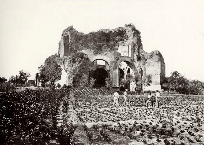 Altobelli und Molins - Ruine des sogenannten Tempels der Minerva Medica (Zeno Fotografie)