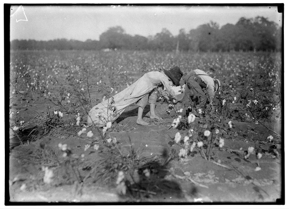 Alton. See preceding labels (e.g., -3551). LOC nclc.05523