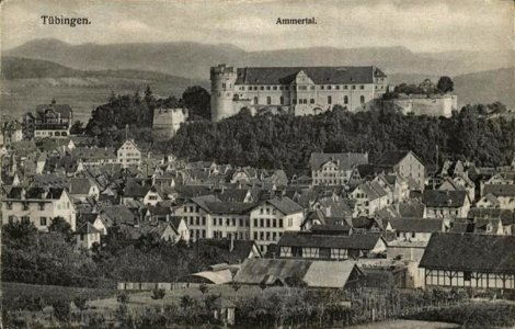 Altstadt und Hohentübingen von Norden (AK 46839 H Sting 1925)