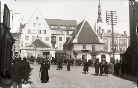 AM N06019