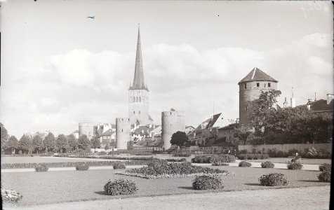 AM N06027