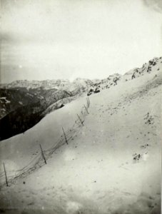 Am Karnischen-Kamm (BildID 15520625)