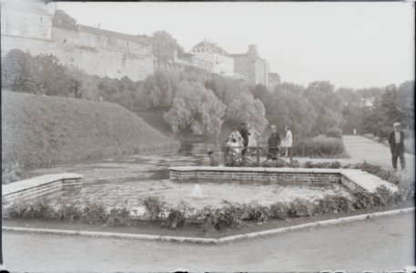 AM N06041