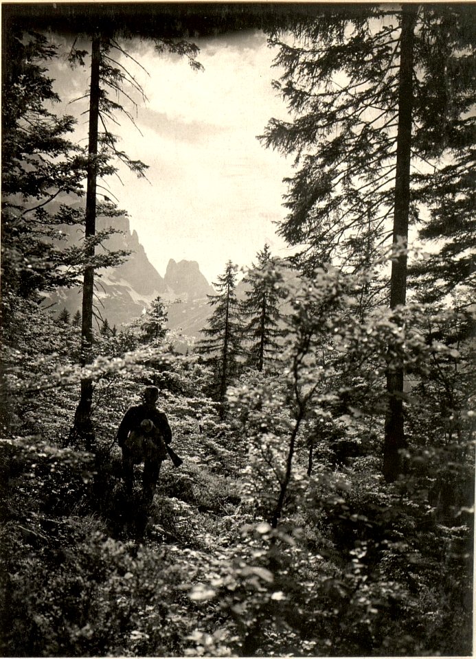 Am Wege zum Kleinen Nabois, Hintergrund Karnizenturm, aufgenommen am 31.5.1916 (BildID 15473199)