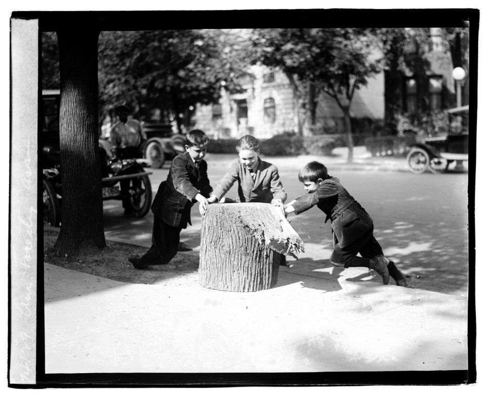 Am. Forestry Assn. LOC npcc.04203