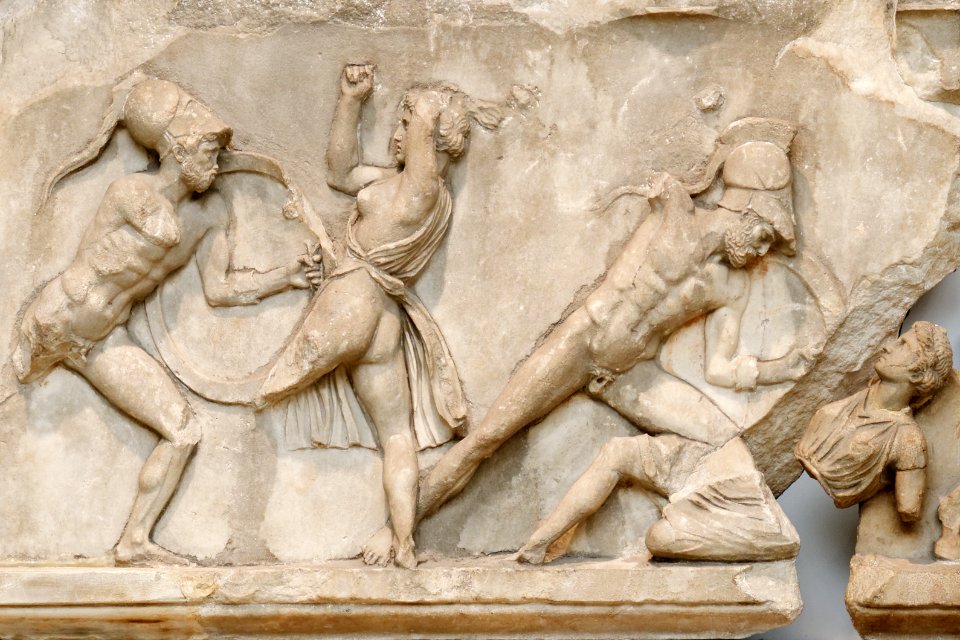 Amazon Frieze BM GR1857.12-20.268-270