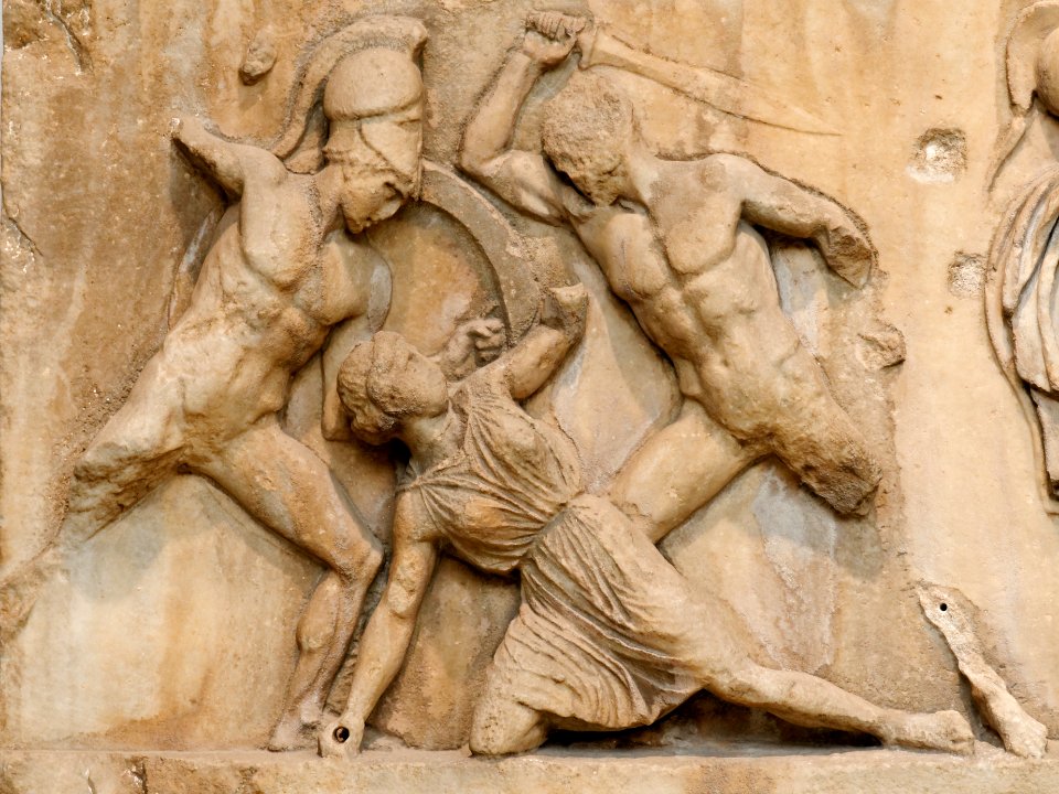Amazon Frieze BM GR1847.4-24.5 n02