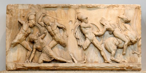 Amazon Frieze BM GR1847.4-24.5 n01