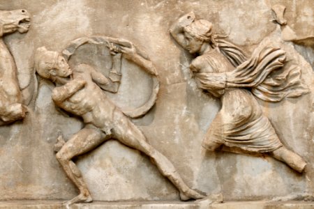 Amazon Frieze BM GR1857.12-20.269-270
