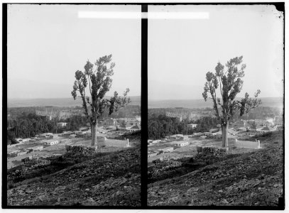 Baalbek. General view LOC matpc.01160