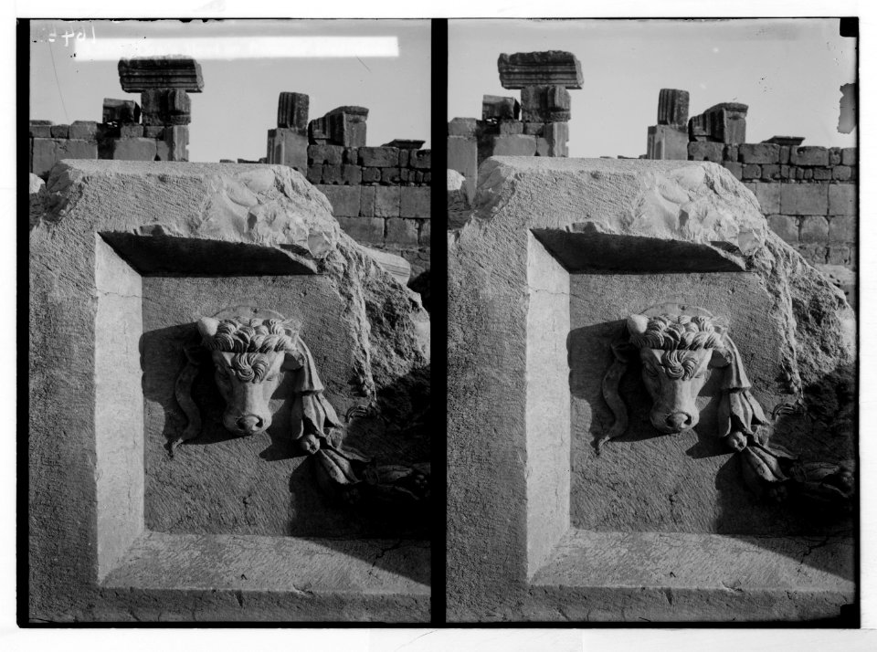 Baalbek. Temple of the sun. Cow's head on basin of lustration LOC matpc.05211