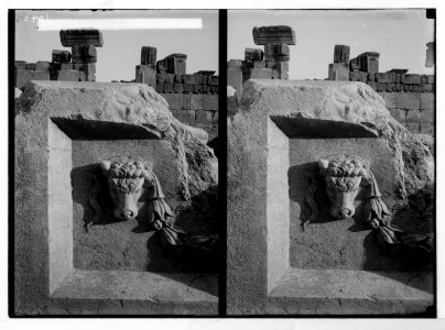 Baalbek. Temple of the sun. Cow's head on basin of lustration LOC matpc.05211