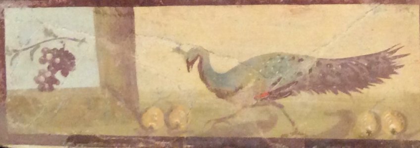 Bacchus paintings 1 peacock grapes
