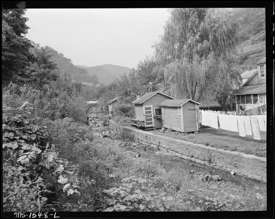 Back yards showing privies and coal houses, notice maintenance of creek bank. Nearly all houses have outdoor toilets... - NARA - 540848