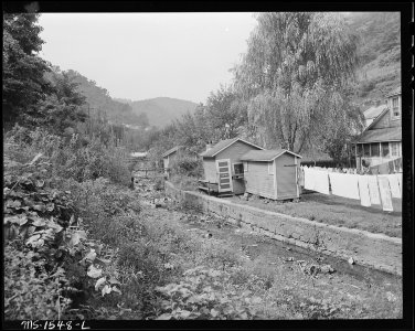 Back yards showing privies and coal houses, notice maintenance of creek bank. Nearly all houses have outdoor toilets... - NARA - 540848