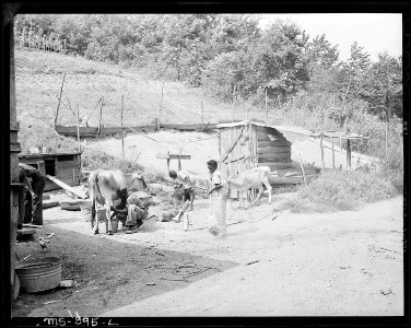 Backyard of home of Butler Phillips, miner, who lives in company housing project. Adams, Rowe & Norman Inc., Porter... - NARA - 540597